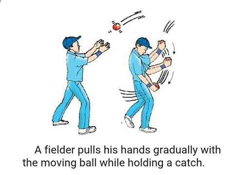 In A Cricket Match Why Does A Player Lower His Hands Slightly While