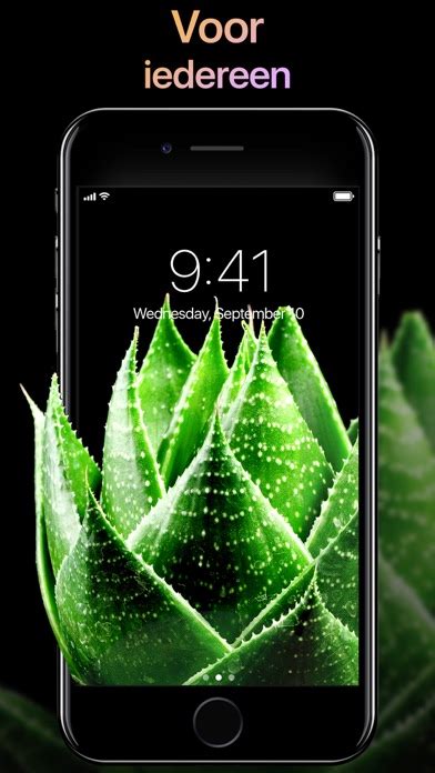 Live Wallpapers Now 4k Themes Iphone App Appwereld