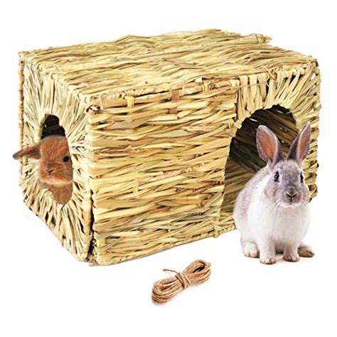 Rabbit Hideaways The 8 Best Houses For Your Bunnies