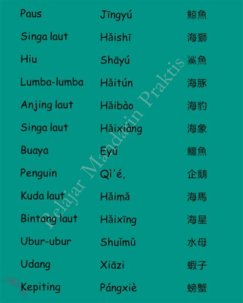 Nama Hewan Belajar Mandarin