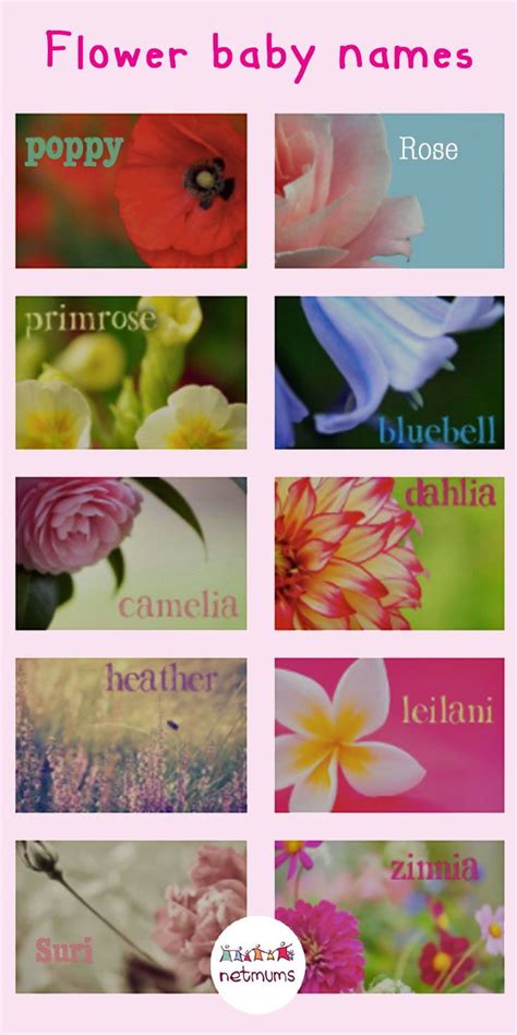 Flower Baby Names Baby Names Flowers Flower Names For Girls Baby Names