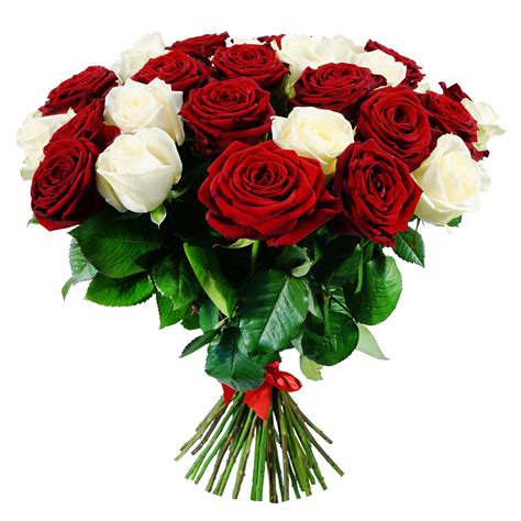 Red Roses Bouquet Ubicaciondepersonascdmxgobmx