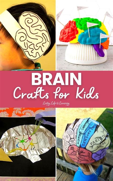 Brain Craft For Kids