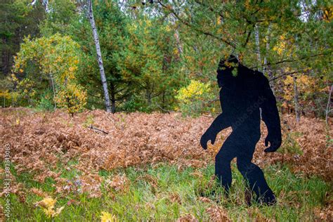 Bigfoot Sighting Black Silhouette Of Bigfoot Cutout At A State Park In