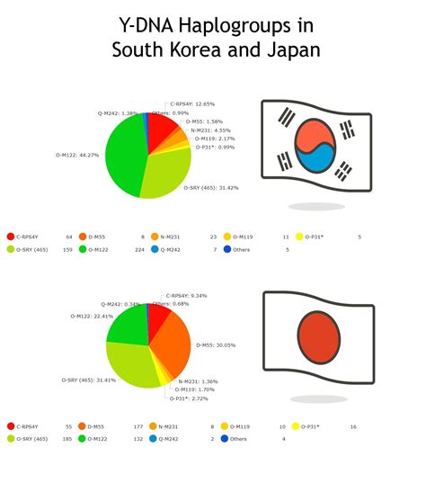 Y Dna Haplogroups In South Korea And Japan Comparison