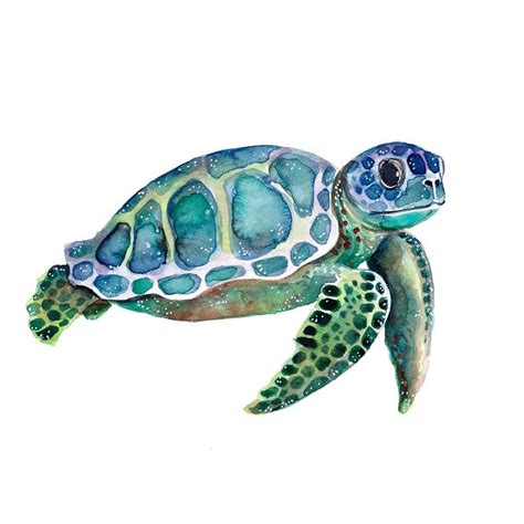 Hey Girl Watercolor Painting Seaturtle Single Sea Turtle Tattoo