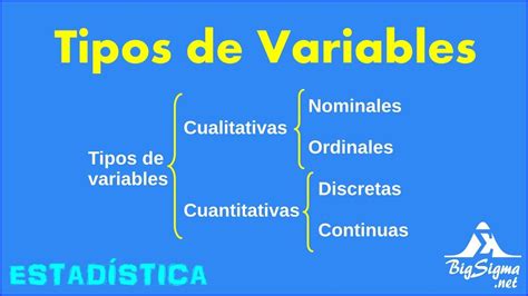 Variable Estadistica Que Es Tipos De Variables Y Ejemplos Images