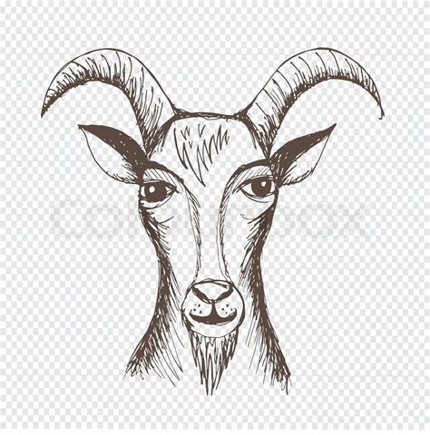 Hand Drawn Goat Stock Vector Colourbox