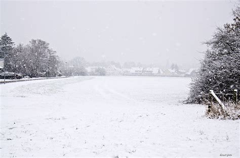 Es-schneit Foto & Bild | landschaft, jahreszeiten, winter Bilder auf