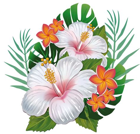 Tropical Flowers Png Transparent Background Vintage Colorful Flowers Design Transparent Png