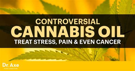 Controversial Cannabis Oil Treat Stress Pain And Even Cancer Dr Axe