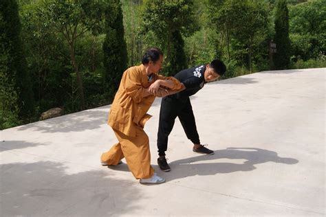 self defense martial art kung fu self defense classes tai chi qigong martial arts