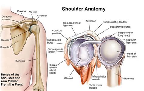 If anyone wants to join along, can i ask you to pm me and. What Does the Clicking Sound in Your Shoulder Mean ...