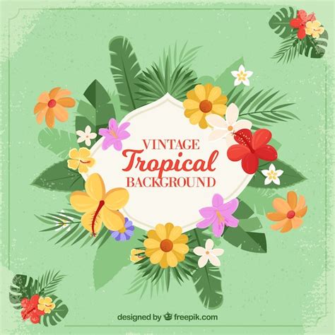 Free Vector Tropical Background In Vintage Style