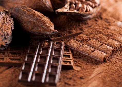 El Chocolate De Yucatán Entre Los Mejores Del Mundo Representación