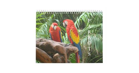 Parrot Calendar Zazzle