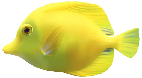 Fish Png Transparent Images Png All