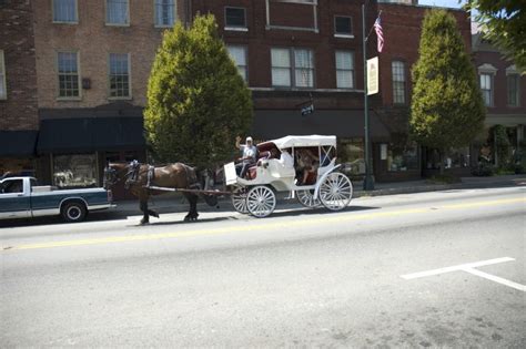 Around The Town Carriage Things To Do In Bardstown Ky Visit Bardstown