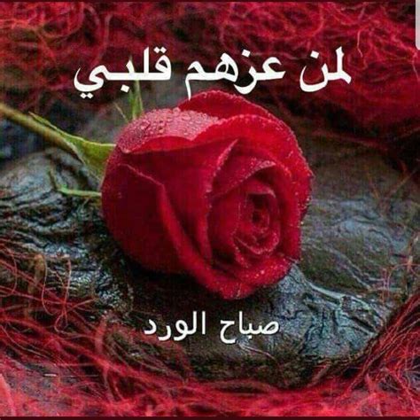 صباح الورد والياسمين من اللي يحبونك صباح حلاه من حلى عيونك صباح يحفظك فيه ربي ويصونك. صباح الخير قلبي , اجمل عبارات الحب فى الصباح - حنين الذكريات