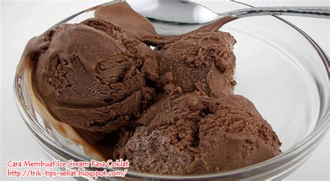 Aneka Resep Masakan Nusantara Cara Membuat Ice Cream Rasa Coklat