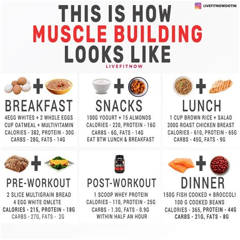 Muscle Building Day Example Post Workout Food Muscle Gain Meal Plan
