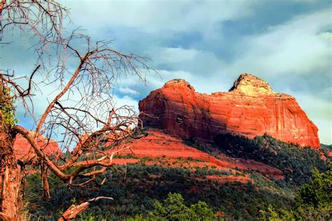 Free Images Landscape Tree Nature Outdoor Sand Rock Wilderness