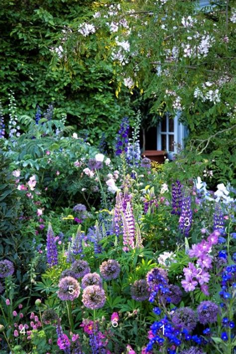 Cottage Gardens What A Pretty Scene I Love This Border Full Of Blues