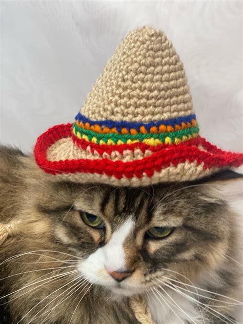 Sombrero Cinco De Mayo Hats For Cats Cat Costumes Pet Etsy