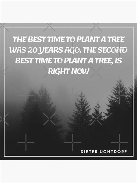 Póster El mejor momento para plantar un árbol fue hace 20 años de