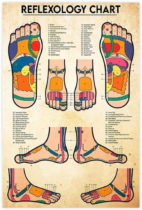 Foot Reflexology Chart 1 Poster Home Decor Massage Therapy Etsy