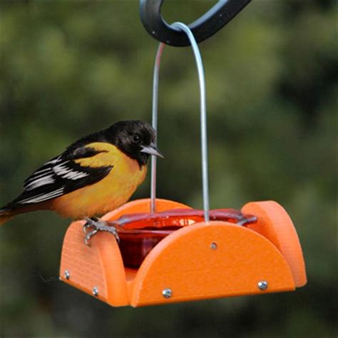 Check spelling or type a new query. Woodlink Going Green Oriole Jelly Feeder-Orange