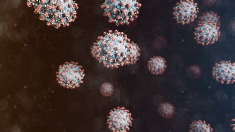 Animated Shot Of Coronavirus Covid 19 Stock Motion Graphics Sbv