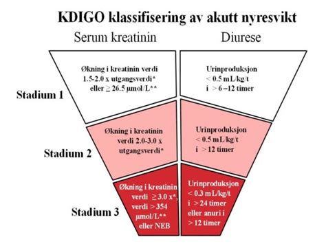 Guiding principles for kdigo guideline development. Akutt nyresvikt etter gjennomgått hjertestans ...