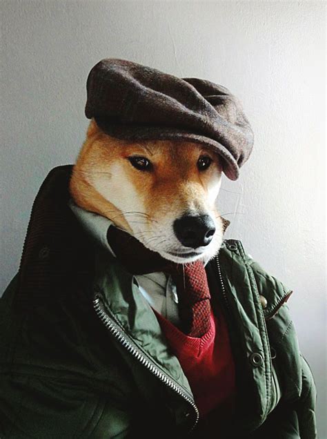 Finally The Menswear Dog Documentary We Ve All Been Waiting For Artofit
