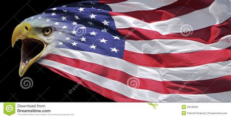 Patriotic Bald Eagle Flag Banner Stock Illustration Illustration Of