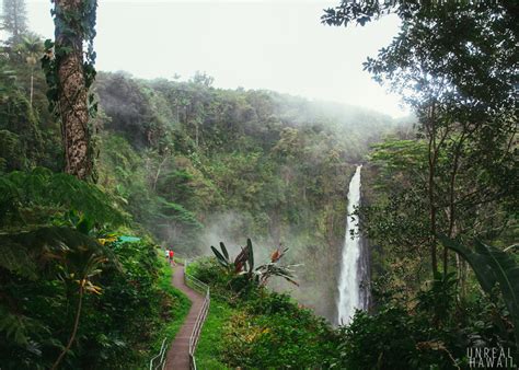 Akaka Falls Hawaiis Most Iconic Waterfall
