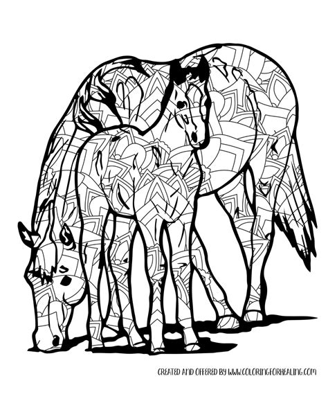 Free Printable Fun Intricate Mandala Horse With Colt Adult Coloring