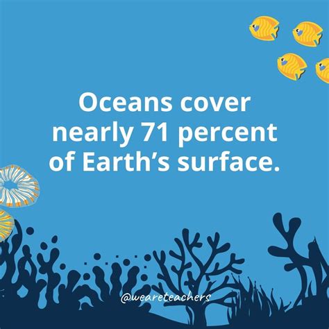 Ocean Facts For Kids To Share In The Classroom And At Home