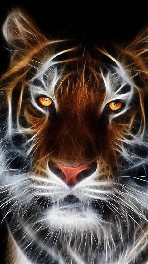 Cool Colorful Animal Wallpapers Top Free Cool Colorful Animal