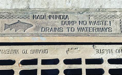Fish Nodumping Cleanwater Water Waterway Drains Sewer Nowaste