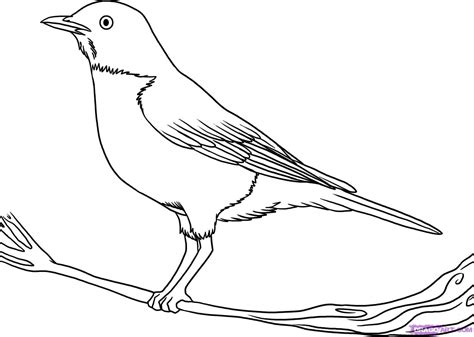 20 Outline Simple Bird Drawing 2022