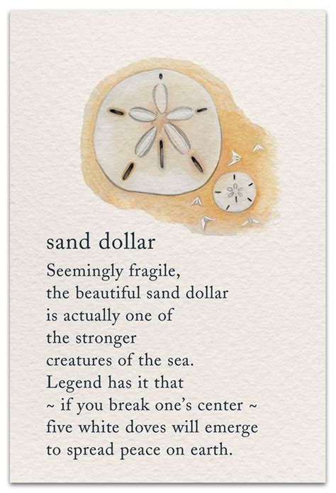 The Legend Of The Sand Dollar Symbols And Meanings Meaning Of Life
