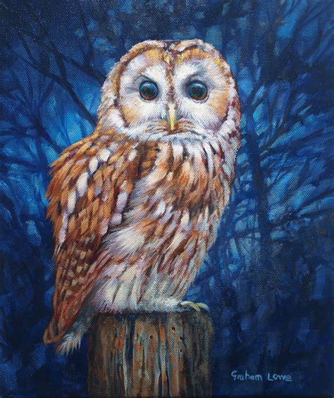 Tawny Owl Acrylic On Canvas Owl Painting Owl Artwork Animal Paintings