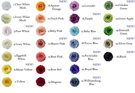 Meanings Of Rose Colors