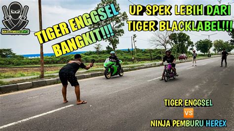 Tiger Enggsel Ninja Pemburu Herex Part Youtube