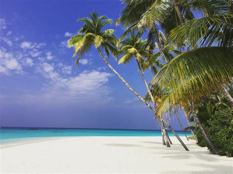 Top 10 Things To Do In The Maldives