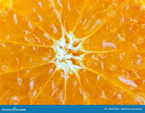 Orange Fruit Close Up Stock Photo Image Of Fruity Macro 17847794