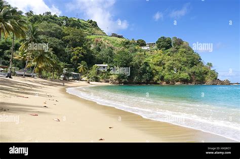 Republic Of Trinidad And Tobago Tobago Island Parlatuvier Bay Tropical Beach Of Caribbean
