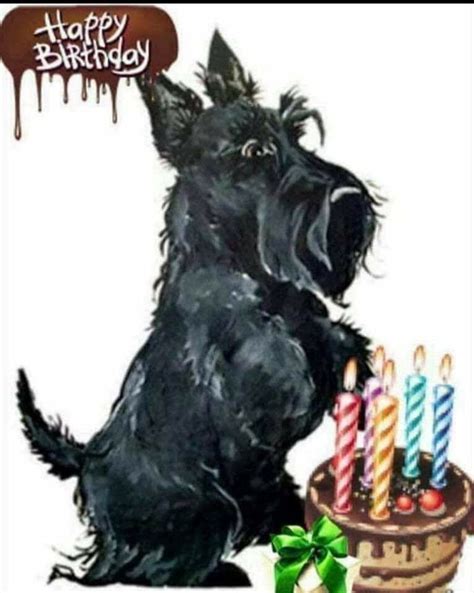 Happy Birthday Dog Birthday Wishes Scottie Puppies Happy Birthdays