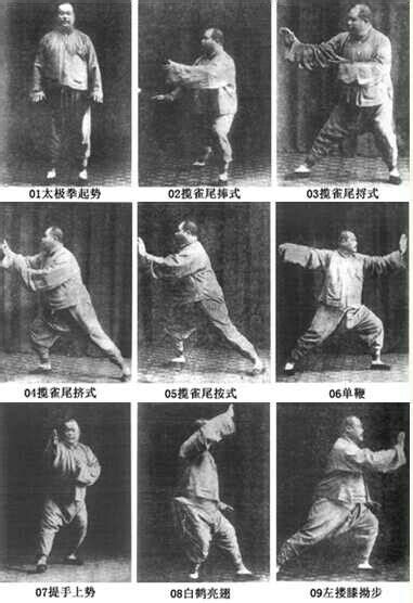 Basic Tai Chi Moves And Poses Explained In Picture And Video